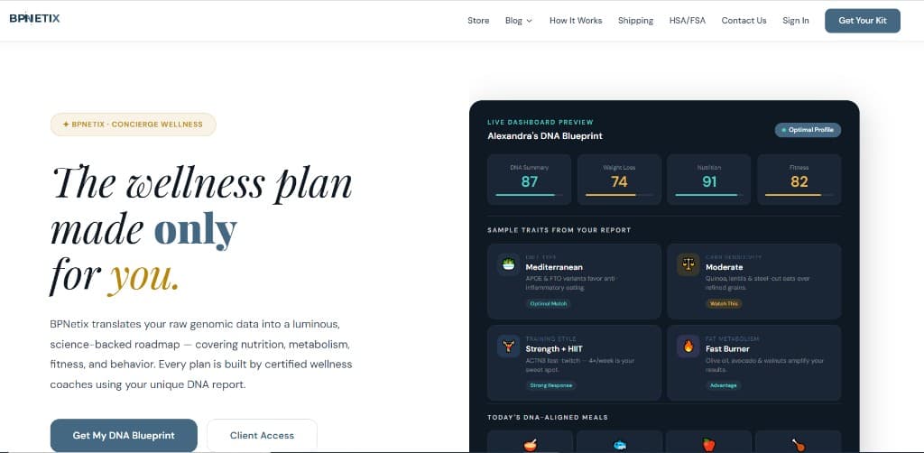 BPNetix website screenshot